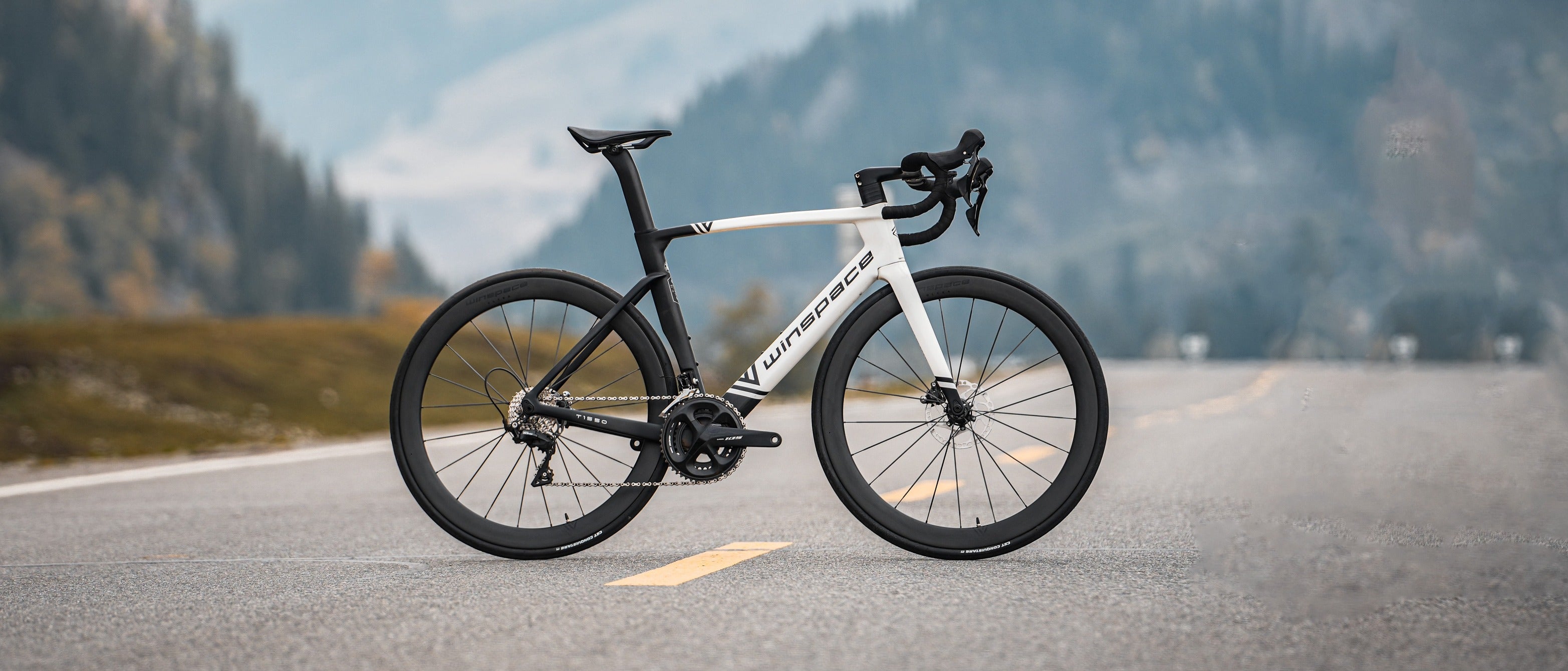 Winspace bicycle