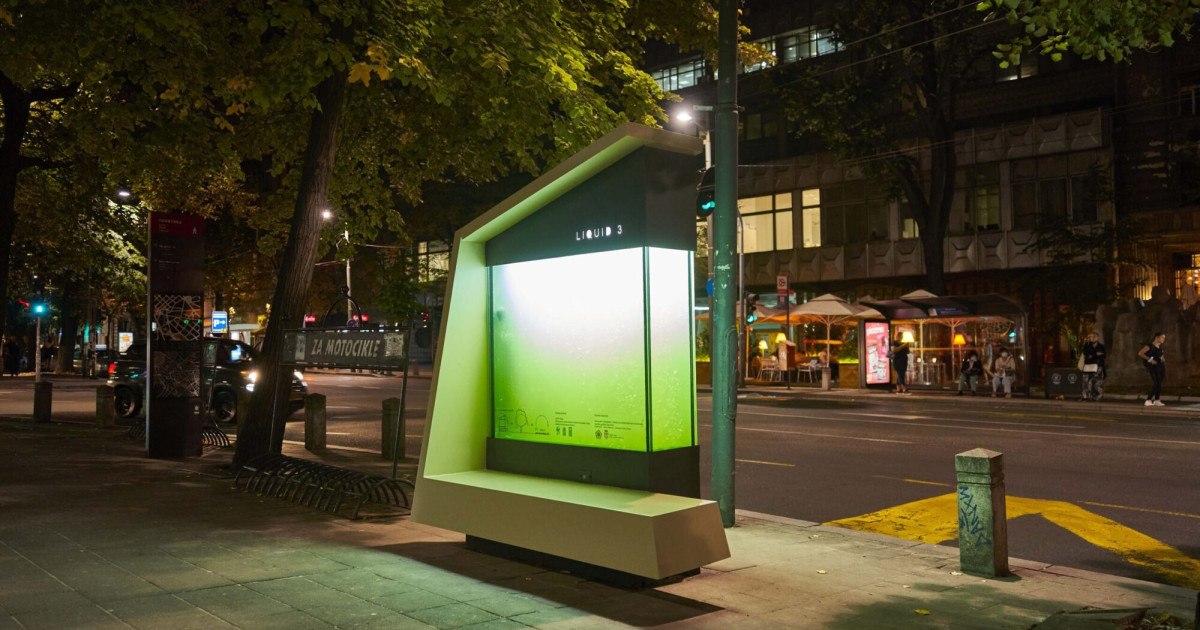 Płynne drzewa podbijają miasta. Ten wynalazek zastępuje 30 pni i produkuje tlen tam, gdzie rośliny giną