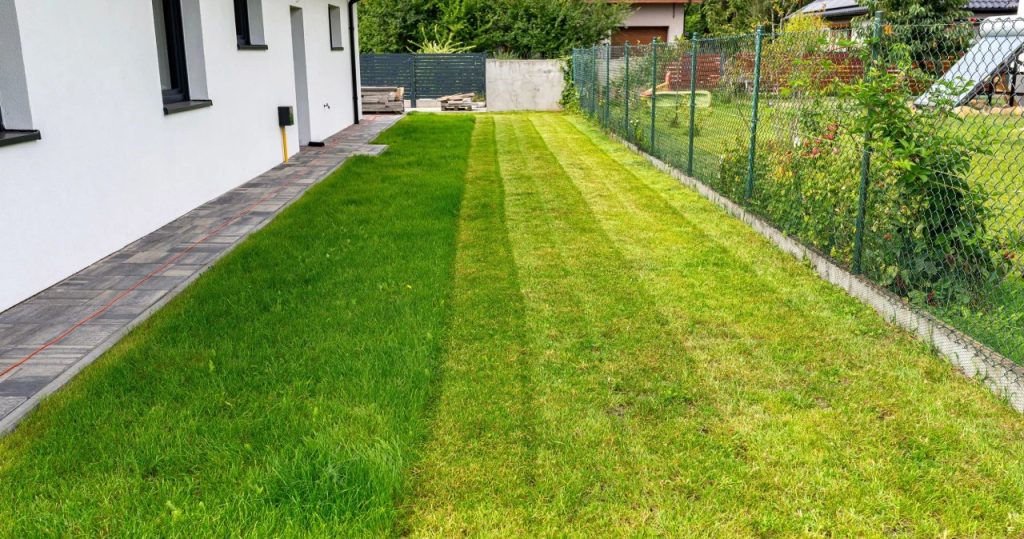 Twój trawnik potrzebuje ratunku? Zrób to w tej kolejności, inaczej go zniszczysz