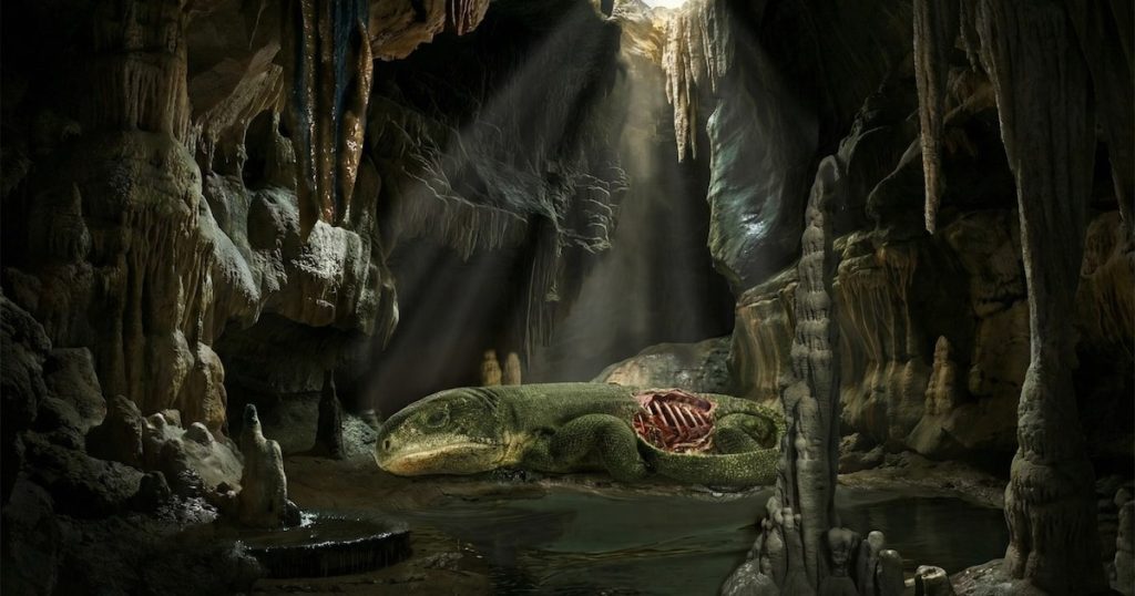 Rewolucyjne odkrycie w Oklahomie: Skamielina sprzed 290 mln lat zmienia historię ewolucji